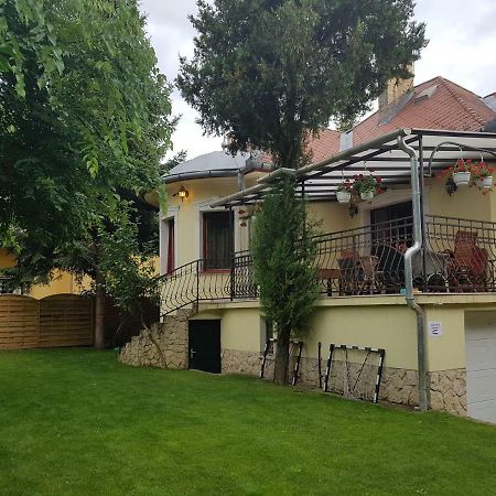 Palma Villa In City Park Budapest - Semi Suteren Eksteriør billede